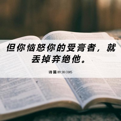Picture 06 - 诗 篇 89:38 CUVS - 但 你 恼 怒 你 的 受 膏 者 ， 就 丢 - Bible Verse Picture