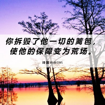 Picture 06 - 诗 篇 89:40 CUVS - 你 拆 毁 了 他 一 切 的 篱 笆 ， 使 - Bible Verse Picture