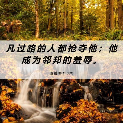 Picture 06 - 诗 篇 89:41 CUVS - 凡 过 路 的 人 都 抢 夺 他 ； 他 成 - Bible Verse Picture