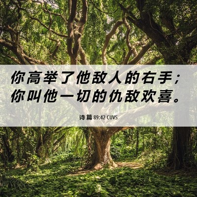 Picture 06 - 诗 篇 89:42 CUVS - 你 高 举 了 他 敌 人 的 右 手 ； 你 - Bible Verse Picture
