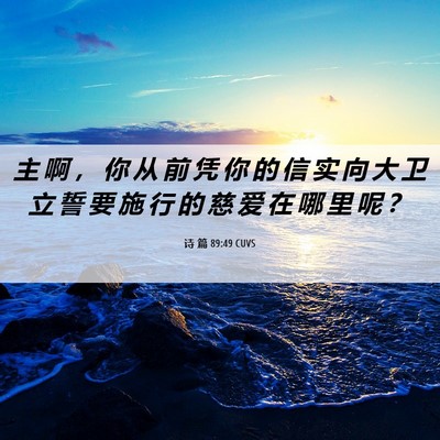 Picture 06 - 诗 篇 89:49 CUVS - 主 啊 ， 你 从 前 凭 你 的 信 实 向 - Bible Verse Picture