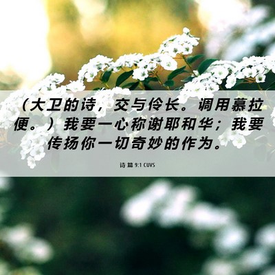 Picture 06 - 诗 篇 9:1 CUVS - （ 大 卫 的 诗 ， 交 与 伶 长 。 调 - Bible Verse Picture