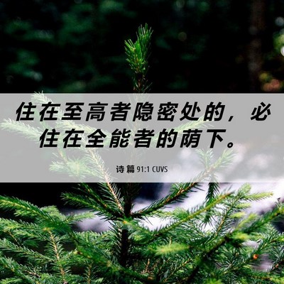 Picture 06 - 诗 篇 91:1 CUVS - 住 在 至 高 者 隐 密 处 的 ， 必 住 - Bible Verse Picture