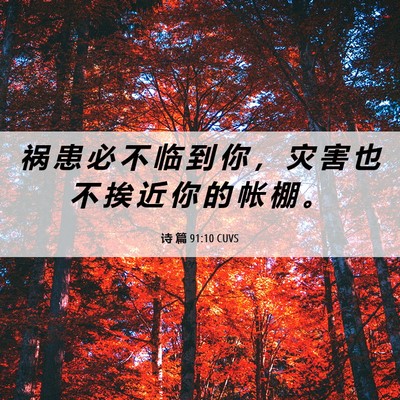 Picture 06 - 诗 篇 91:10 CUVS - 祸 患 必 不 临 到 你 ， 灾 害 也 不 - Bible Verse Picture