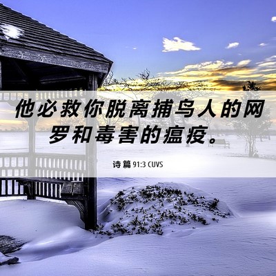 Picture 06 - 诗 篇 91:3 CUVS - 他 必 救 你 脱 离 捕 鸟 人 的 网 罗 - Bible Verse Picture