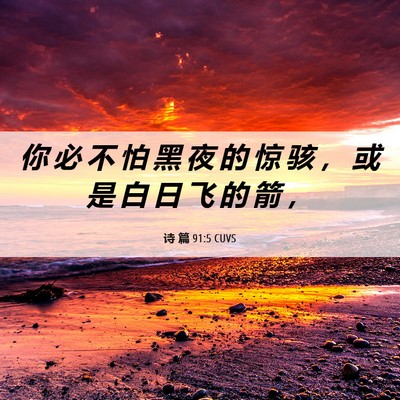Picture 06 - 诗 篇 91:5 CUVS - 你 必 不 怕 黑 夜 的 惊 骇 ， 或 是 - Bible Verse Picture