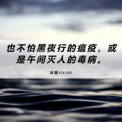 Picture 06 - 诗 篇 91:6 CUVS - 也 不 怕 黑 夜 行 的 瘟 疫 ， 或 是 - Bible Verse Picture
