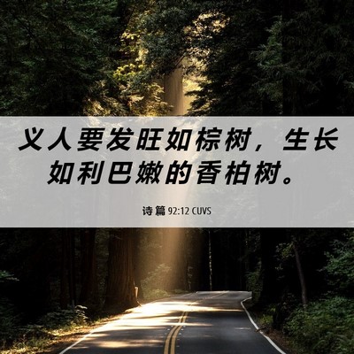 Picture 06 - 诗 篇 92:12 CUVS - 义 人 要 发 旺 如 棕 树 ， 生 长 如 - Bible Verse Picture