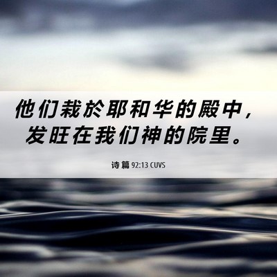 Picture 06 - 诗 篇 92:13 CUVS - 他 们 栽 於 耶 和 华 的 殿 中 ， 发 - Bible Verse Picture