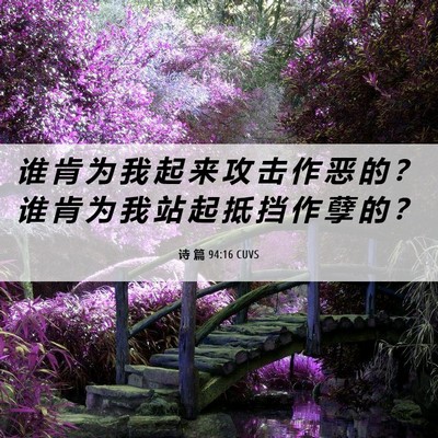 Picture 06 - 诗 篇 94:16 CUVS - 谁 肯 为 我 起 来 攻 击 作 恶 的 ？ - Bible Verse Picture