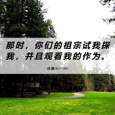 Picture 06 - 诗 篇 95:9 CUVS - 那 时 ， 你 们 的 祖 宗 试 我 探 我 - Bible Verse Picture