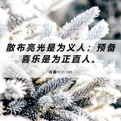 Picture 06 - 诗 篇 97:11 CUVS - 散 布 亮 光 是 为 义 人 ； 预 备 喜 - Bible Verse Picture