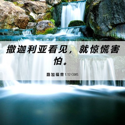 Picture 06 - 路 加 福 音 1:12 CUVS - 撒 迦 利 亚 看 见 ， 就 惊 慌 害 怕 - Bible Verse Picture