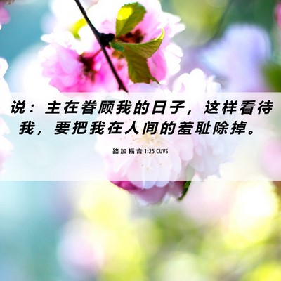 Picture 06 - 路 加 福 音 1:25 CUVS - 说 ： 主 在 眷 顾 我 的 日 子 ， 这 - Bible Verse Picture