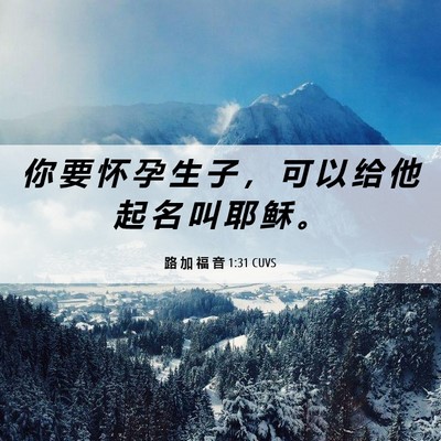 Picture 06 - 路 加 福 音 1:31 CUVS - 你 要 怀 孕 生 子 ， 可 以 给 他 起 - Bible Verse Picture