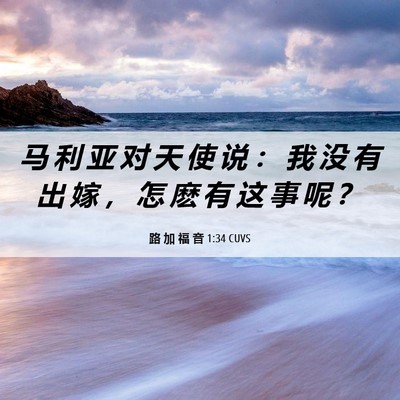 Picture 06 - 路 加 福 音 1:34 CUVS - 马 利 亚 对 天 使 说 ： 我 没 有 出 - Bible Verse Picture