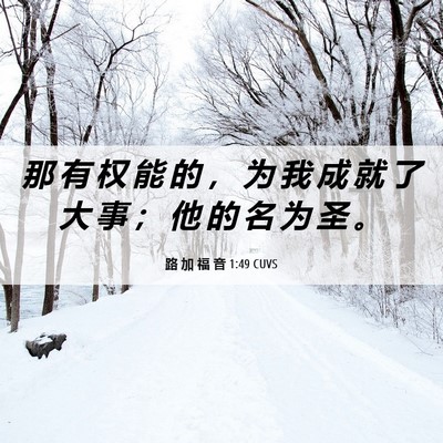 Picture 06 - 路 加 福 音 1:49 CUVS - 那 有 权 能 的 ， 为 我 成 就 了 大 - Bible Verse Picture