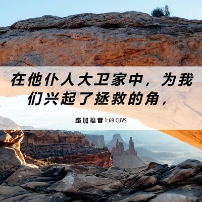 Picture 06 - 路 加 福 音 1:69 CUVS - 在 他 仆 人 大 卫 家 中 ， 为 我 们 - Bible Verse Picture