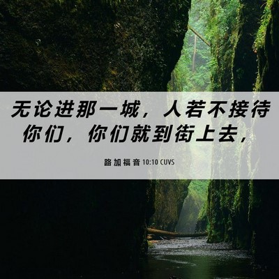 Picture 06 - 路 加 福 音 10:10 CUVS - 无 论 进 那 一 城 ， 人 若 不 接 待 - Bible Verse Picture