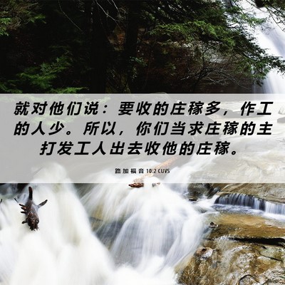 Picture 06 - 路 加 福 音 10:2 CUVS - 就 对 他 们 说 ： 要 收 的 庄 稼 多 - Bible Verse Picture