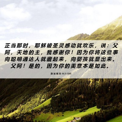 Picture 06 - 路 加 福 音 10:21 CUVS - 正 当 那 时 ， 耶 稣 被 圣 灵 感 动 - Bible Verse Picture
