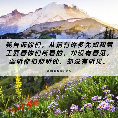 Picture 06 - 路 加 福 音 10:24 CUVS - 我 告 诉 你 们 ， 从 前 有 许 多 先 - Bible Verse Picture