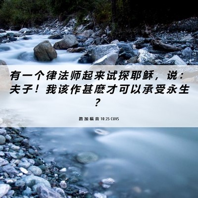 Picture 06 - 路 加 福 音 10:25 CUVS - 有 一 个 律 法 师 起 来 试 探 耶 稣 - Bible Verse Picture
