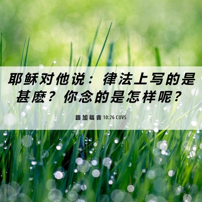 Picture 06 - 路 加 福 音 10:26 CUVS - 耶 稣 对 他 说 ： 律 法 上 写 的 是 - Bible Verse Picture
