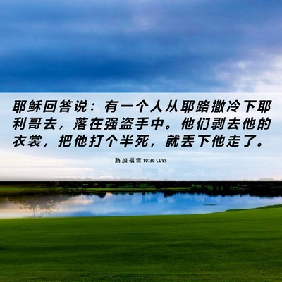 Picture 06 - 路 加 福 音 10:30 CUVS - 耶 稣 回 答 说 ： 有 一 个 人 从 耶 - Bible Verse Picture