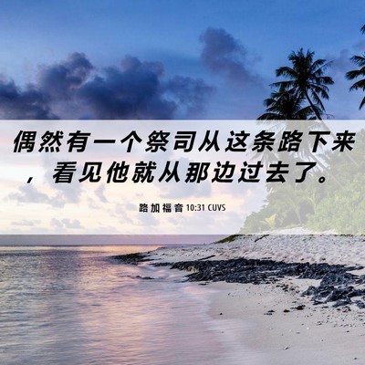 Picture 06 - 路 加 福 音 10:31 CUVS - 偶 然 有 一 个 祭 司 从 这 条 路 下 - Bible Verse Picture
