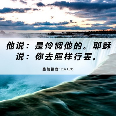 Picture 06 - 路 加 福 音 10:37 CUVS - 他 说 ： 是 怜 悯 他 的 。 耶 稣 说 - Bible Verse Picture