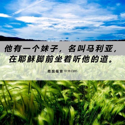 Picture 06 - 路 加 福 音 10:39 CUVS - 他 有 一 个 妹 子 ， 名 叫 马 利 亚 - Bible Verse Picture