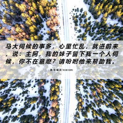 Picture 06 - 路 加 福 音 10:40 CUVS - 马 大 伺 候 的 事 多 ， 心 里 忙 乱 - Bible Verse Picture