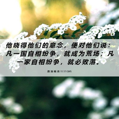 Picture 06 - 路 加 福 音 11:17 CUVS - 他 晓 得 他 们 的 意 念 ， 便 对 他 - Bible Verse Picture