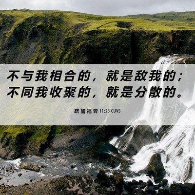 Picture 06 - 路 加 福 音 11:23 CUVS - 不 与 我 相 合 的 ， 就 是 敌 我 的 - Bible Verse Picture