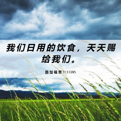 Picture 06 - 路 加 福 音 11:3 CUVS - 我 们 日 用 的 饮 食 ， 天 天 赐 给 - Bible Verse Picture