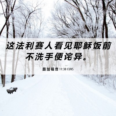 Picture 06 - 路 加 福 音 11:38 CUVS - 这 法 利 赛 人 看 见 耶 稣 饭 前 不 - Bible Verse Picture