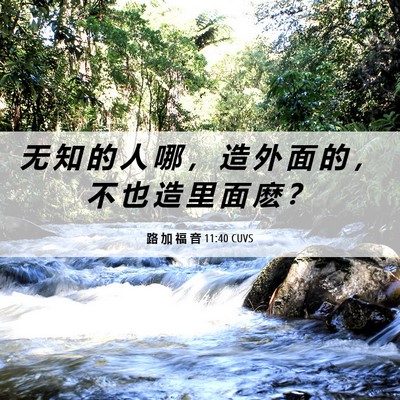 Picture 06 - 路 加 福 音 11:40 CUVS - 无 知 的 人 哪 ， 造 外 面 的 ， 不 - Bible Verse Picture