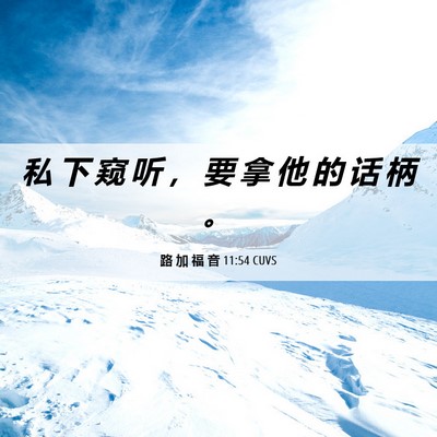 Picture 06 - 路 加 福 音 11:54 CUVS - 私 下 窥 听 ， 要 拿 他 的 话 柄 - Bible Verse Picture