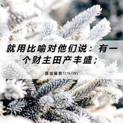 Picture 06 - 路 加 福 音 12:16 CUVS - 就 用 比 喻 对 他 们 说 ： 有 一 个 - Bible Verse Picture