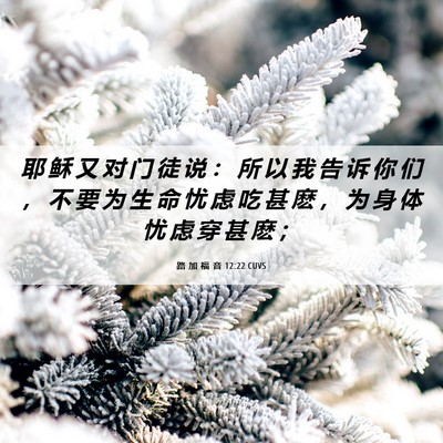 Picture 06 - 路 加 福 音 12:22 CUVS - 耶 稣 又 对 门 徒 说 ： 所 以 我 告 - Bible Verse Picture