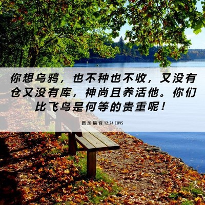 Picture 06 - 路 加 福 音 12:24 CUVS - 你 想 乌 鸦 ， 也 不 种 也 不 收 ， - Bible Verse Picture