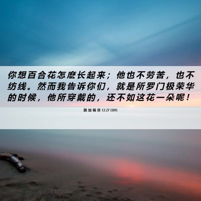 Picture 06 - 路 加 福 音 12:27 CUVS - 你 想 百 合 花 怎 麽 长 起 来 ； 他 - Bible Verse Picture