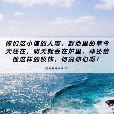 Picture 06 - 路 加 福 音 12:28 CUVS - 你 们 这 小 信 的 人 哪 ， 野 地 里 - Bible Verse Picture