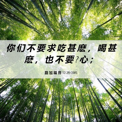 Picture 06 - 路 加 福 音 12:29 CUVS - 你 们 不 要 求 吃 甚 麽 ， 喝 甚 麽 - Bible Verse Picture