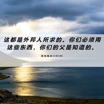 Picture 06 - 路 加 福 音 12:30 CUVS - 这 都 是 外 邦 人 所 求 的 。 你 们 - Bible Verse Picture