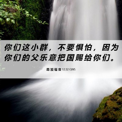 Picture 06 - 路 加 福 音 12:32 CUVS - 你 们 这 小 群 ， 不 要 惧 怕 ， 因 - Bible Verse Picture