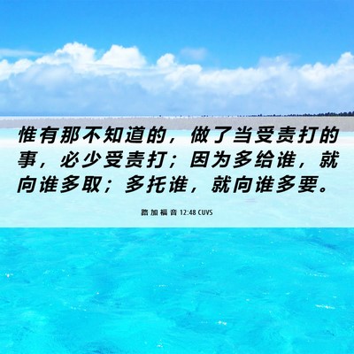 Picture 06 - 路 加 福 音 12:48 CUVS - 惟 有 那 不 知 道 的 ， 做 了 当 受 - Bible Verse Picture