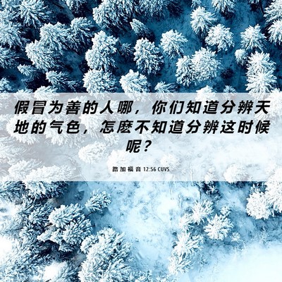 Picture 06 - 路 加 福 音 12:56 CUVS - 假 冒 为 善 的 人 哪 ， 你 们 知 道 - Bible Verse Picture