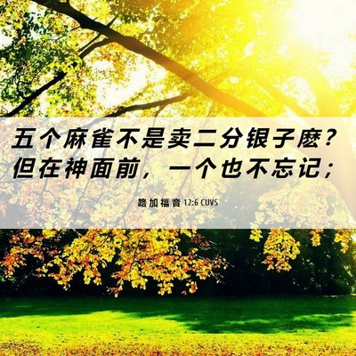 Picture 06 - 路 加 福 音 12:6 CUVS - 五 个 麻 雀 不 是 卖 二 分 银 子 麽 - Bible Verse Picture